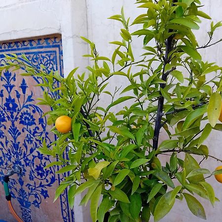 Dar Eva Hotel Fez Kültér fotó